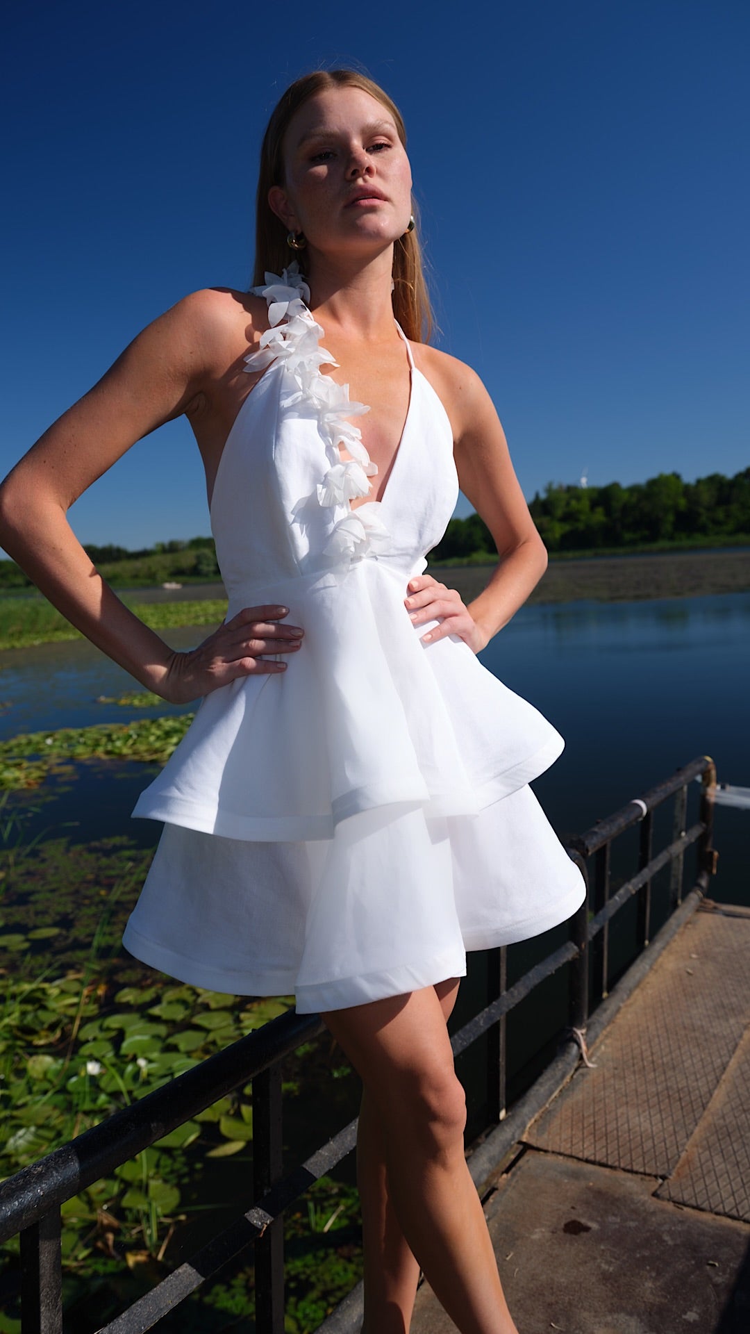 PRINCESS DAIRY DRESS