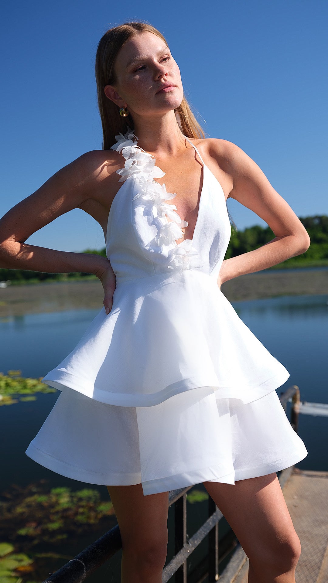 PRINCESS DAIRY DRESS