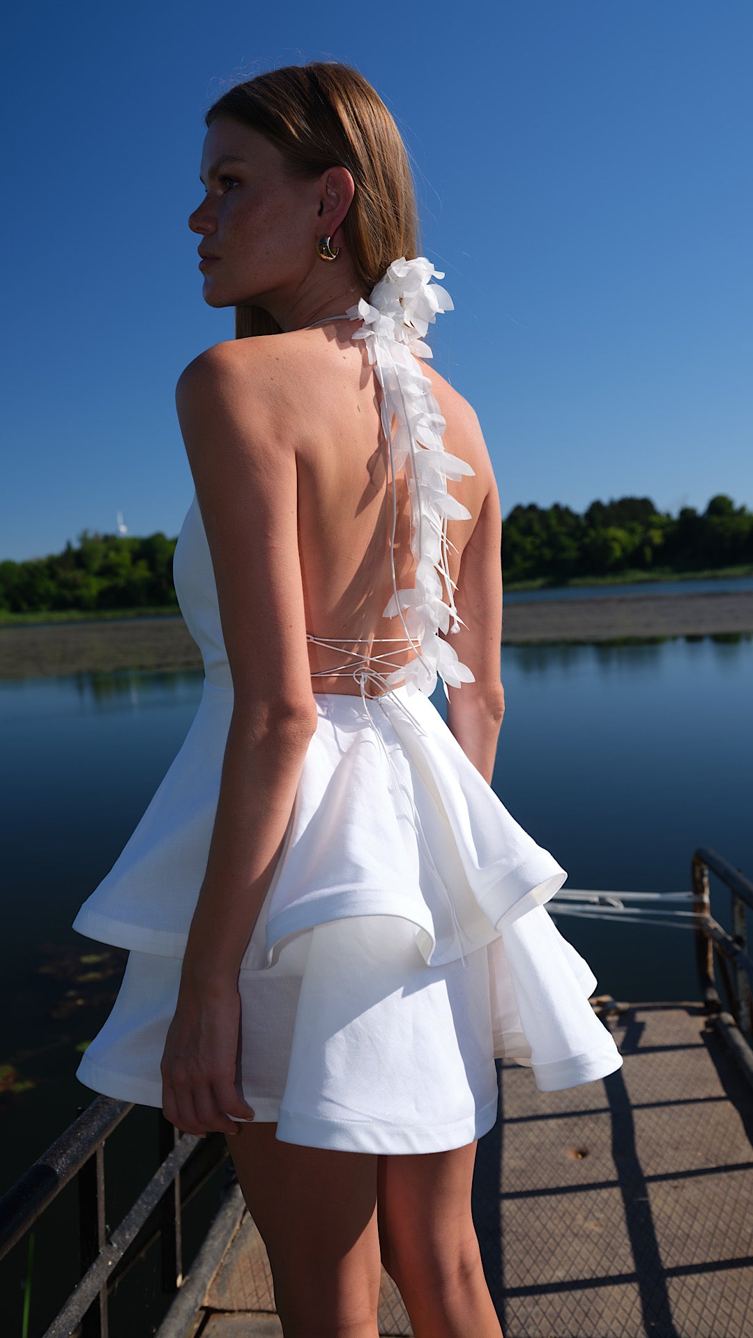 PRINCESS DAIRY DRESS